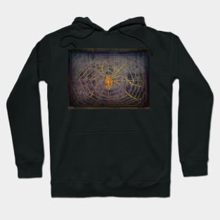 Spider, Spider On The Wall Hoodie